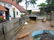 Výlet do ZOO Chleby a Labyrintária Loučeň